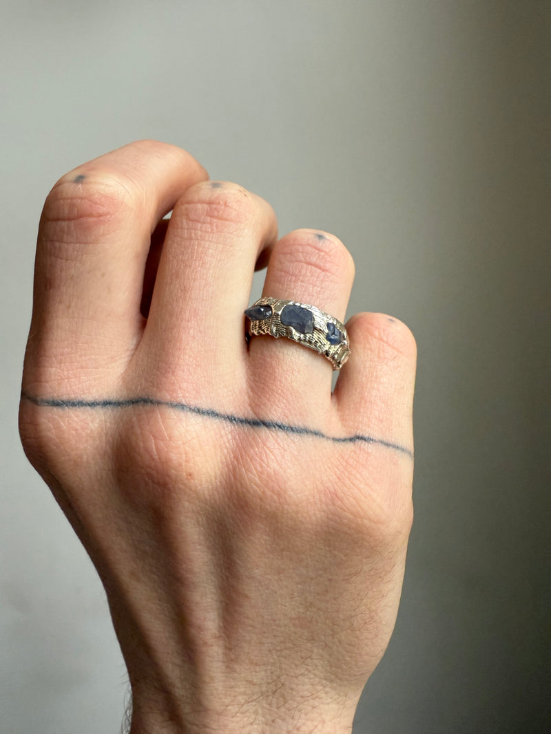 HERMAN XVI RING